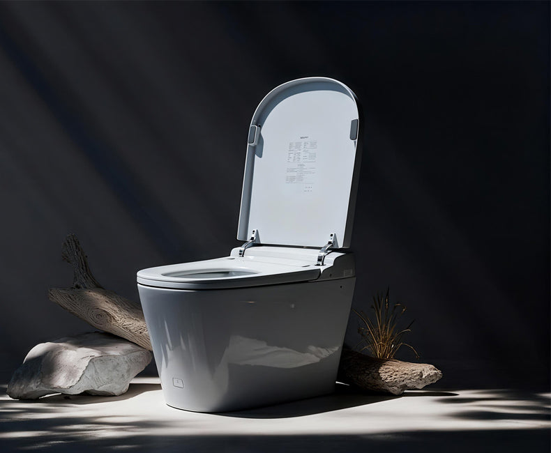 Complete Comparison: Regular Toilet vs. Smart Toilet (Bidet Functionality)