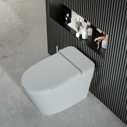 Collection of floor-mounted installation-Urine Health Monitoring Toilet in a gallery layout