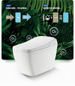 Collection of 828 smart bidet toilet with two inlet pipes in a gallery layout