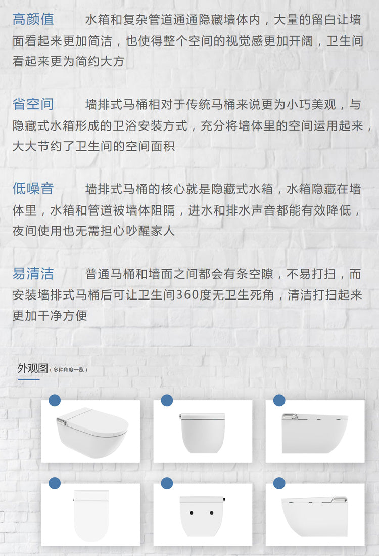 1202 Wall-mounted smart bidet toilet