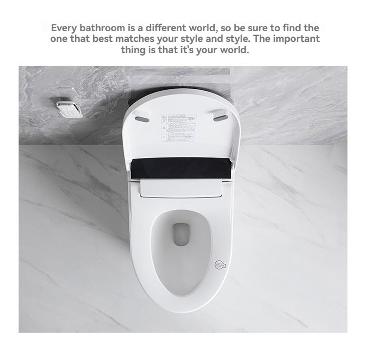 JA-1001 smart bidet toilet North America/Australia