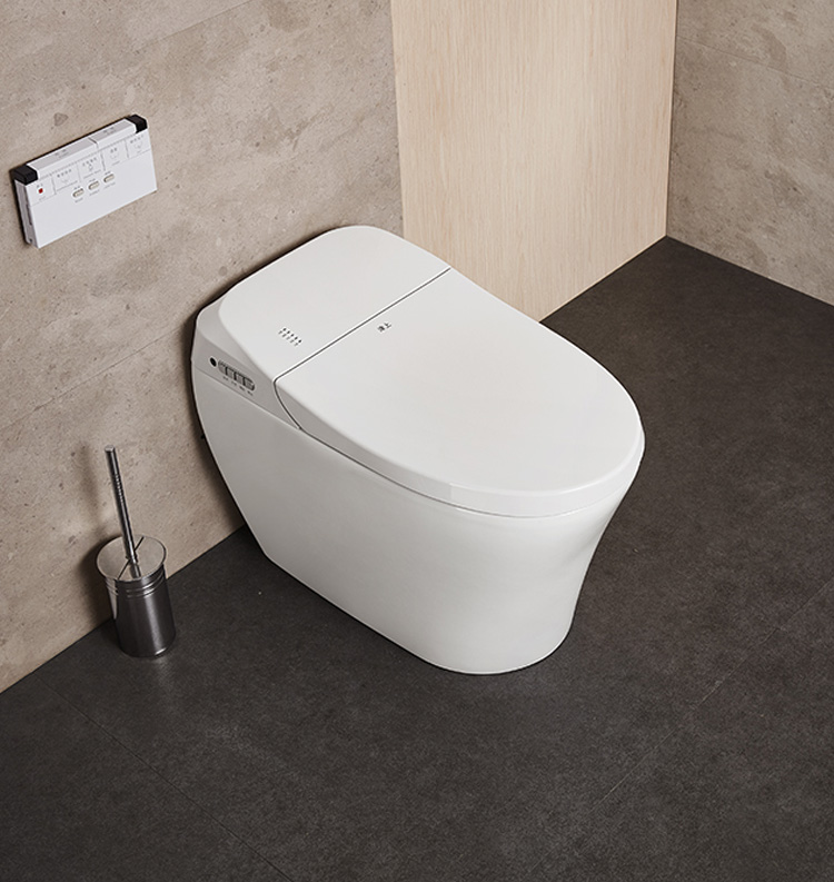 Collection of HK76  smart bidet toilet with  super Treating constipation in a gallery layout