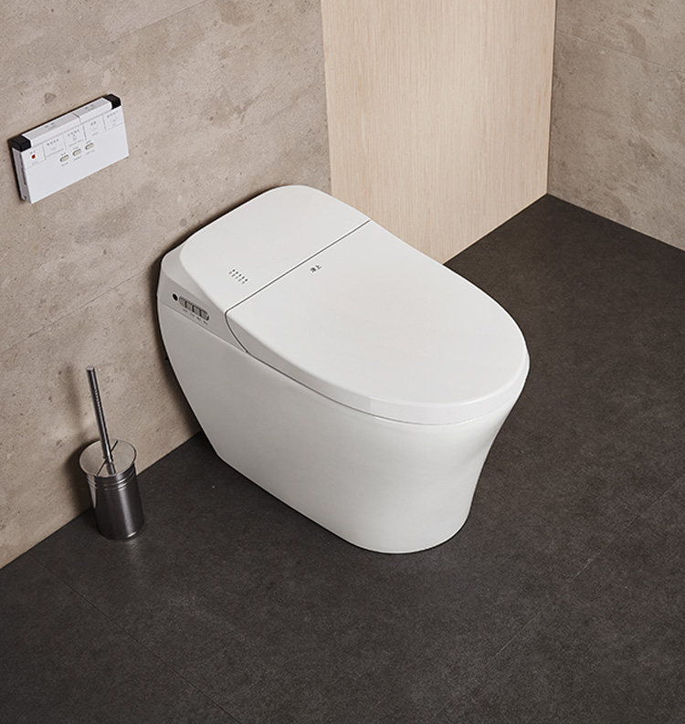 HK76  smart bidet toilet with  super Treating constipation