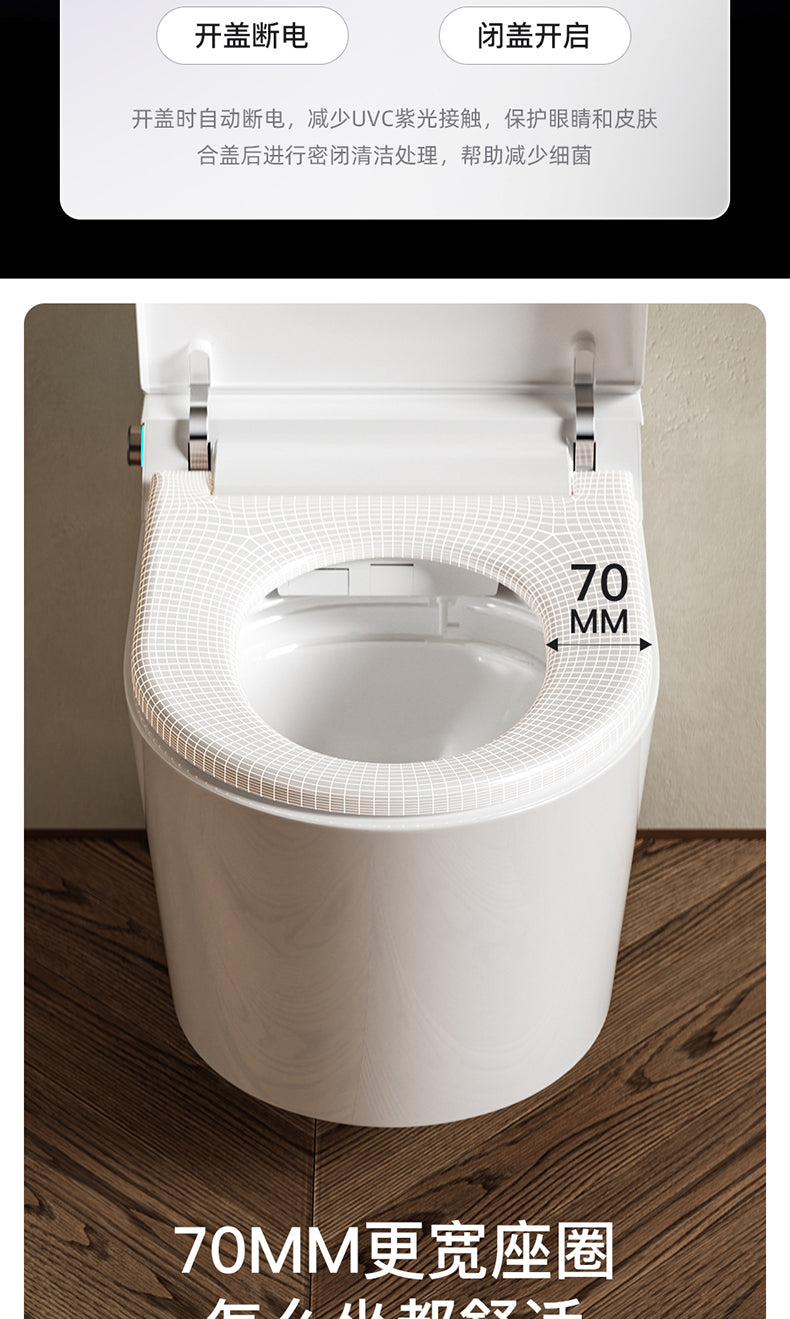 608 wall mounted smart bidet toilet