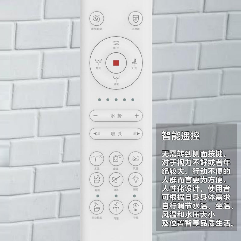 1202 Wall-mounted smart bidet toilet