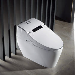 Collection of HK76  smart bidet toilet with  super Treating constipation in a gallery layout