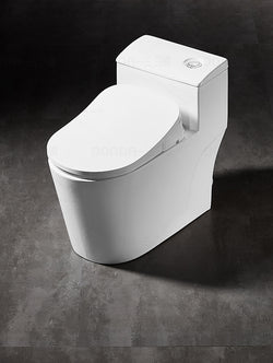 Collection of AK66 smart bidet seat in a gallery layout