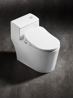 Collection of AK66 smart bidet seat in a gallery layout