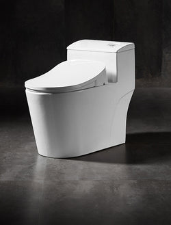 Collection of AK66 smart bidet seat in a gallery layout