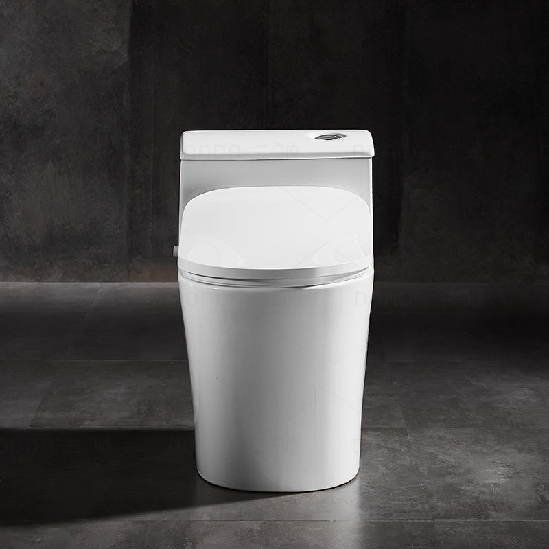 AK66 標準坐廁板：通用型、即時加熱及灌腸功能