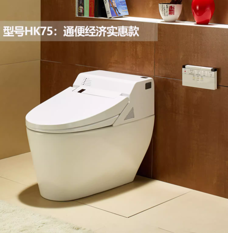 the hk75 bidet toilet with enema wash offers an elegant, spacious design with a gentle enema function, providing the best value for users seeking affordable constipation relief and modern bathroom features